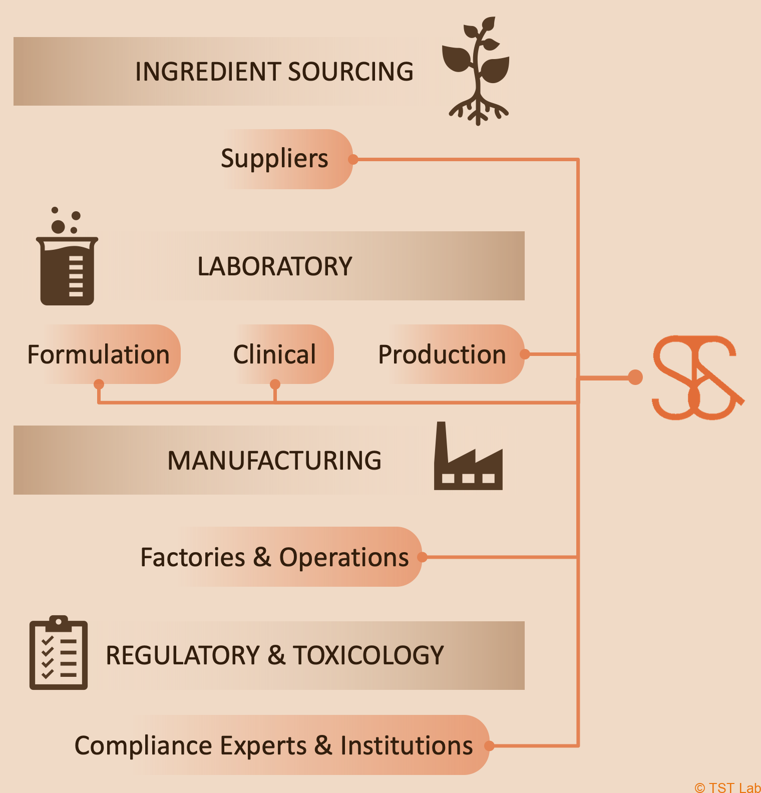 Product development in beauty and health: partner selection