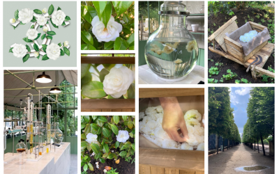 SALON JARDINS, JARDIN– PARIS 2019 – 16ème édition