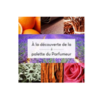 Webinaire « À la découverte de la palette du parfumeur », Osmothèque Conservatoire International des Parfums – 23 février 2021 [FR][EN]